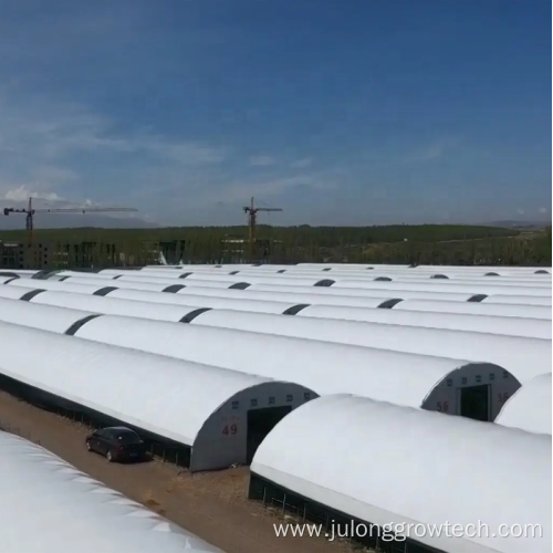 Hot sale low cost high quality mushroom greenhouse